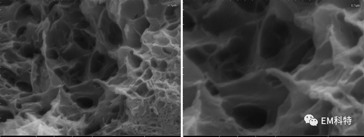 EM科特扫描电镜用于水化硅酸钙凝胶形貌